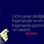 Burcu