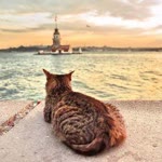 Filiz