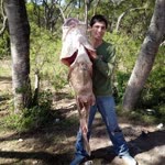 Agustin