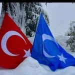 Cebir