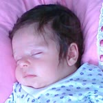 Erdal