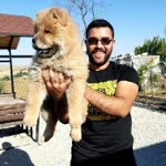 Umut