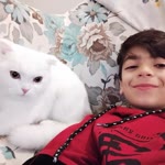 Faruk