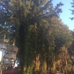 Yılmaz