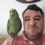 Salih