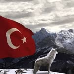 Ebubekir