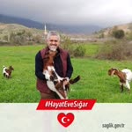 Mahmut