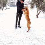 Caner