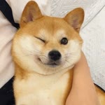 Jiaheng