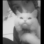 Zeynep