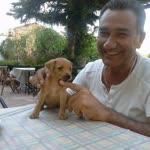 Cemal