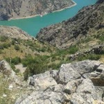 Özbek