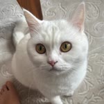 Profil fotoğrafı
