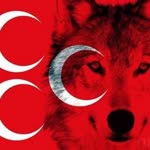 Polat