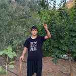 Ali