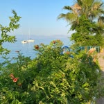 Gülşah