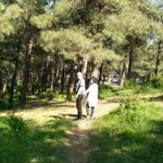 Fatih