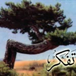 Fatih