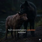 Seyit