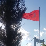 Havva