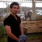 Cihan