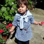 Elifin
