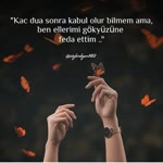 Mine