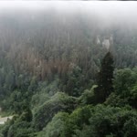 Uygar