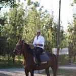Orhan