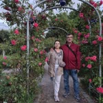 Sibel