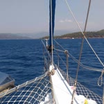 Halil