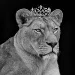 Aslan