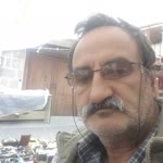 Doğan