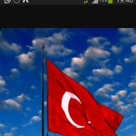 Veysel