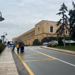 Feyza