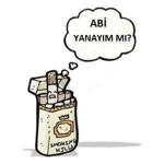 Anil