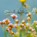 Safa