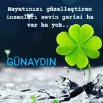 Çetin