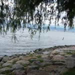 Deniz