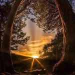 Suna