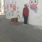Nurşen