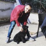 Ferdi