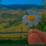 Şevval