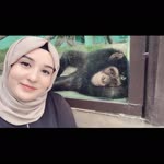 Sibel