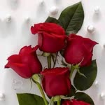 Fatma