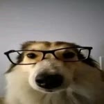 Necmi