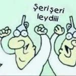 Selin