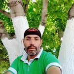 Arif