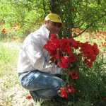 Serkan