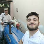 Mesut